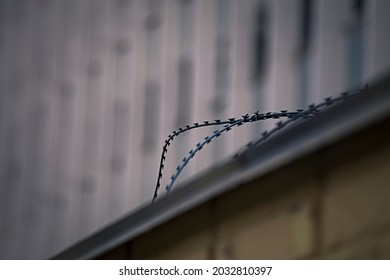 Barbed wire on a gray background macro