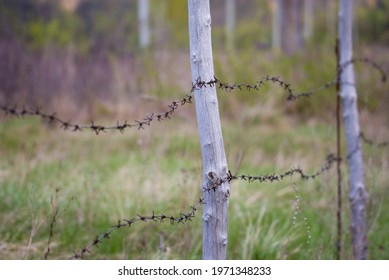 barbed wire on makeshift poles