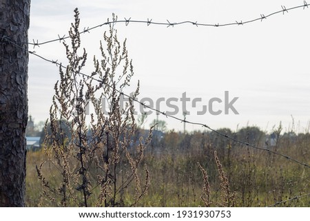 Image, Stock Photo dreary Environment Winter