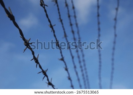 Barbed wire on a security wall 