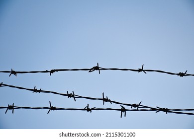 barbed wire on the wall. close-up barbed wire.