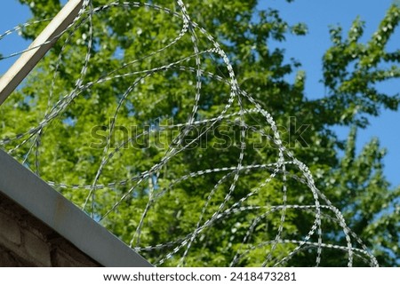 barbed wire on wood background