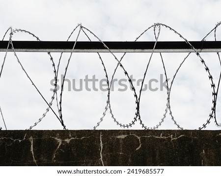 Barbed wire in a prison or in the army. Sharp military security fence. Close-up image. Crossed barbed wire. Prison barbed wire. Concentration camp. Used for background or texture. Selective focus.