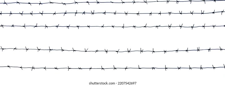 Barbed wire prison isolated on white background. Territory protection. Horizontal separate elements of barbwire. Metal barrier with sharp barbs for industrial and agricultural fencing