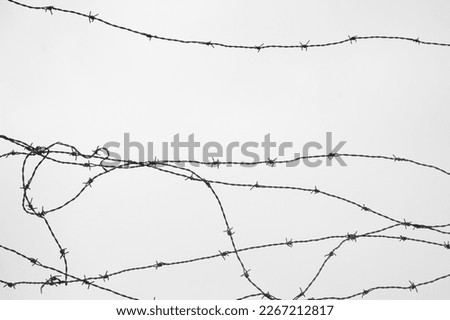barbed wire protecting a property or defense on a white background