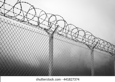 Barbed wire - restricted area, black and white