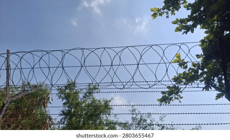 Barbed wire for securing fields, gardens, and premises