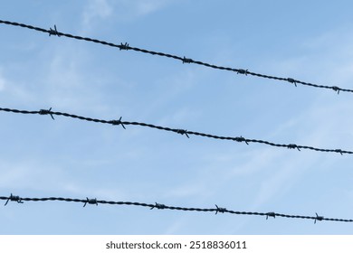 Barbed wire is seen against a backdrop of a blue sky, symbolizing boundaries or restrictions. - Powered by Shutterstock