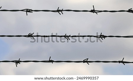 Barbed wire with sharp thorns on the impassable border that cannot be crossed
