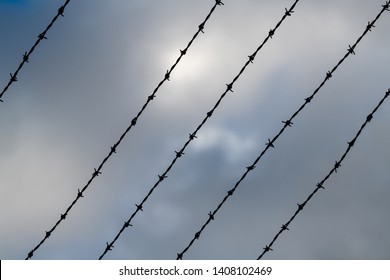 Barbed wire silhouetted against gloomy cloudy sky