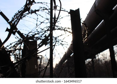 Barbed wire with sky background.