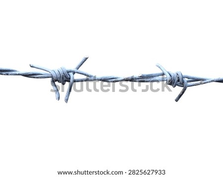 Barbed Wire Strand with Sharp Metal Spikes Isolated on Clean White Background