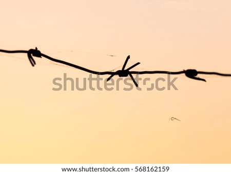 Similar – Image, Stock Photo Mute wire Nature Sky