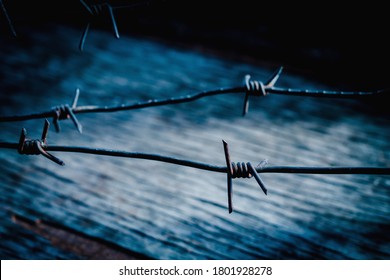 Barbed Wire As A Symbol Of Human Rights Violations And The Totalitarian Regime. Selective Focus.