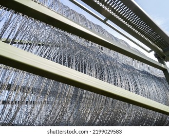 Barbed Wire Technology. Temporary Steel Fence With Spikes. Fragment Of Machine For Laying Barbed Wire. Technique For Quick Installation Of Restrictive Barbed Wire. Concept Installing Fence On Border