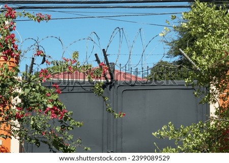 Barbed wire at the top of the tall black iron gate protecting entrance to private house in Kingston, Jamaica. Around the door are bushes with red flowers. On top are electric cables and blue sky.
