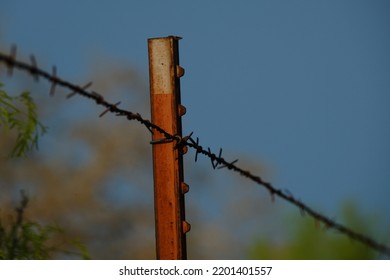 Barbed Wire With T-post On Farm For Rural Fencing.