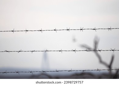 Barbed wire used as a fence in the garden. Border, forbidden zone idea concept.  Barbed wire steel wall against immigration in Europe. Barriers to those who try to enter the borders illegally. - Powered by Shutterstock