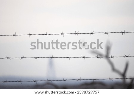 Barbed wire used as a fence in the garden. Border, forbidden zone idea concept.  Barbed wire steel wall against immigration in Europe. Barriers to those who try to enter the borders illegally. Foto stock © 