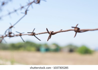 barbed wire wall