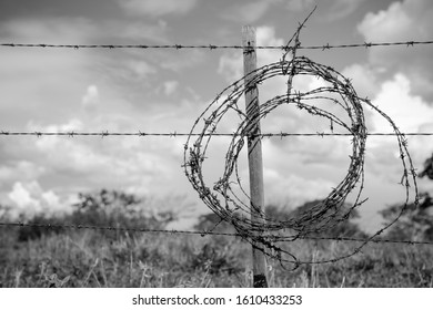 wrapped in barbed wire