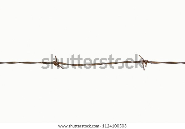 Barbed wires isolated\
with white bacground