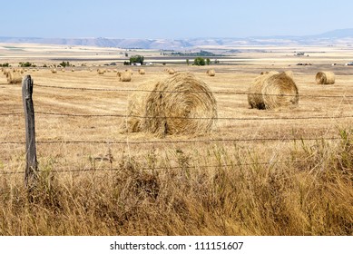 Barbed Wore Fence And Field Filled With Rolls Of Straw