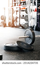 Barbell on gym floor. Rows of gym equipment, metal barbells, dubbells on racks for strength training in gym.