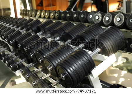 barbells in gym