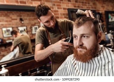 Barber Shaving Bearded Man In Barber Shop