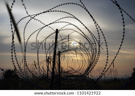 Barber wire and sunset