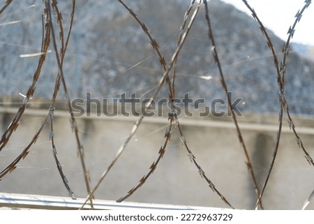 Barbered wire over a blue sky and on building ground, rusty