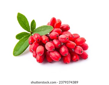 Barberries with leaves on white backgrounds