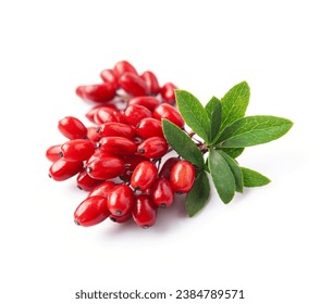 Barberries with leaves on white backgrounds