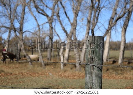 A barbwire fence, with animals and trees