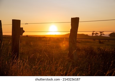 Barbwire fence line in the sun rise