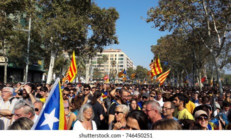 Barcelona, Catalonia, Spain - October, 27, 2017. Crowd of people in Pujades street celebrating independence in the moment of the declaration of the Catalonia Republic. 