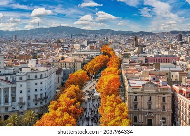 Barcelona Spain, High Angle View City Skyline At La Rambla Street With Autumn Foliage Season