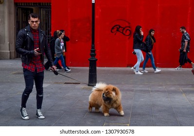 Barcelona, Spain - March 21st 2017: British Model Stephen James Walking His Chow Chow On Passeig De Gràcia.