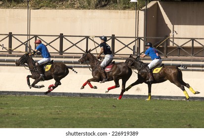 BARCELONA, SPAIN - OCTOBER 25: Players during the International City of Barcelona Polo Tournament on October 25, 2014 in Barcelona, Spain.