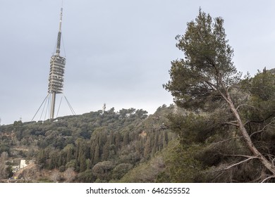 BARCELONA,SPAIN-JANUARY 25,2017: Mountain,serra De Collserola Close To City And Communication Tower,Barcelona.