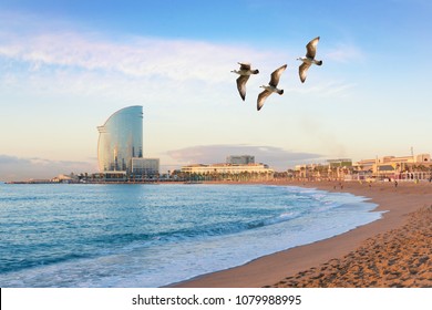 Barceloneta Beach in Barcelona with colorful sky at sunrise. Seafront, beach,coast in Spain. Suburb of Barcelona, Catalonia. Europe tourism, modern city life, or business finance and economy concept