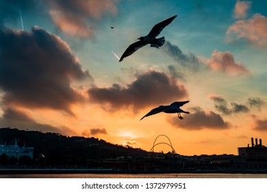 Barceloneta Beach in Barcelona with colorful sky at sunrise. Seafront, beach,coast in Spain. Suburb of Barcelona, Catalonia