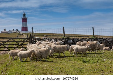 Bardsey Island An Isle At The End Of The LLyn Peninsula North Wales