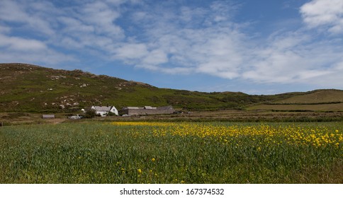 Bardsey Island An Isle At The End Of The LLyn Peninsula North Wales