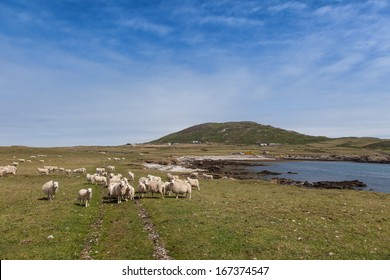 Bardsey Island An Isle At The End Of The LLyn Peninsula North Wales