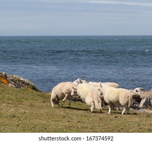 Bardsey Island An Isle At The End Of The LLyn Peninsula North Wales