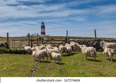 Bardsey Island An Isle At The End Of The LLyn Peninsula North Wales