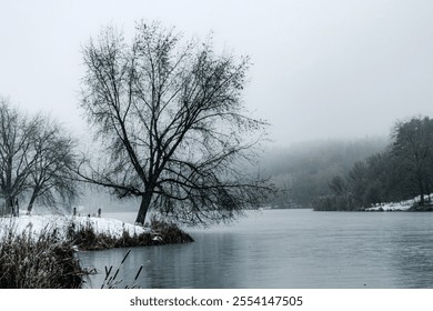 The bare branches of the trees are silhouetted against the overcast sky, and the muted colors create a peaceful, introspective atmosphere. - Powered by Shutterstock