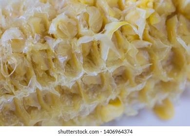 Bare Corn Cob Of A Boiled Sweet Yellow Corn After Eating In A White Saucer Plate. Close Up Shot. 